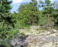 images/Schweden/Schweden 2012/IMG_0651.jpg